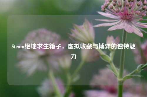 Steam绝地求生箱子,虚拟收藏与博弈的独特魅力