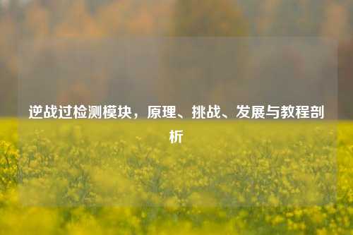 逆战过检测模块,原理、挑战、发展与教程剖析