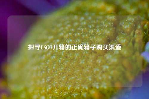 探寻CSGO开箱的正确箱子购买渠道