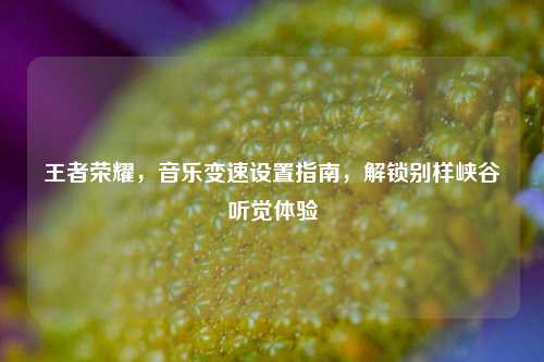 王者荣耀,音乐变速设置指南,解锁别样峡谷听觉体验