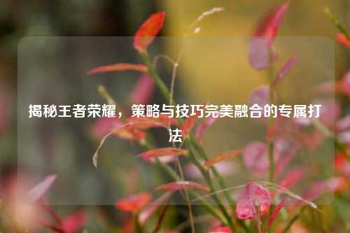 揭秘王者荣耀,策略与技巧完美融合的专属打法