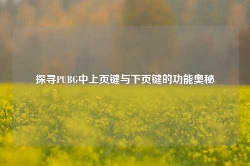 探寻PUBG中上页键与下页键的功能奥秘
