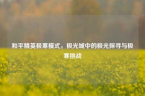 和平精英极寒模式,极光城中的极光探寻与极寒挑战