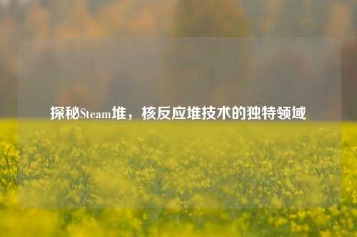 探秘Steam堆,核反应堆技术的独特领域