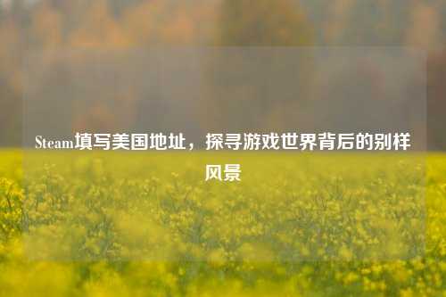 Steam填写美国地址,探寻游戏世界背后的别样风景