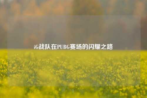 iG战队在PUBG赛场的闪耀之路