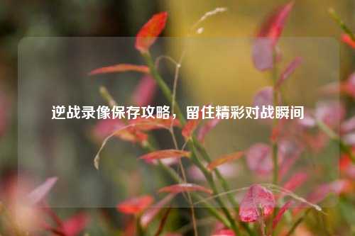 逆战录像保存攻略,留住精彩对战瞬间