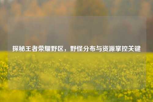 探秘王者荣耀野区，野怪分布与资源掌控关键