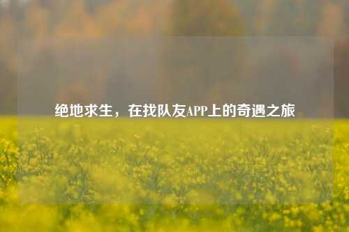 绝地求生,在找队友APP上的奇遇之旅