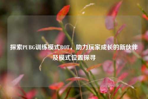 探索PUBG训练模式BOT,助力玩家成长的新伙伴及模式位置探寻