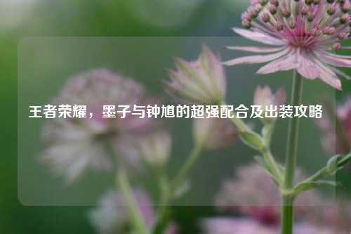 王者荣耀,墨子与钟馗的超强配合及出装攻略