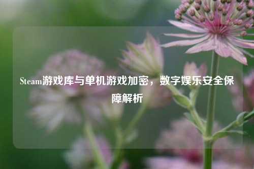 Steam游戏库与单机游戏加密,数字娱乐安全保障解析
