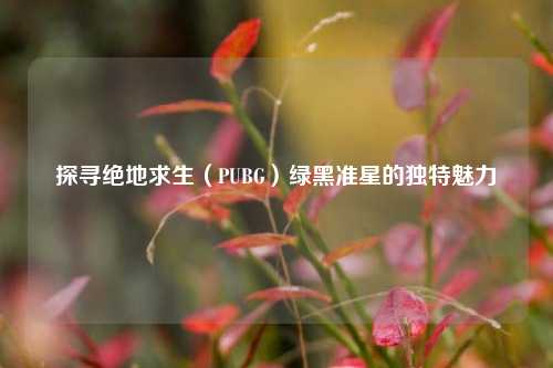 探寻绝地求生(PUBG)绿黑准星的独特魅力