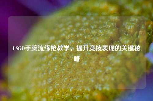CSGO手腕流练枪教学,提升竞技表现的关键秘籍