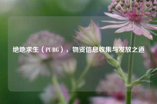 绝地求生(PUBG),物资信息收集与发放之道