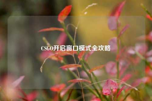 CSGO开启窗口模式全攻略