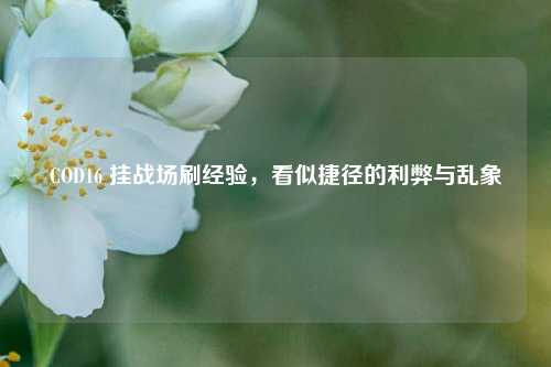COD16 挂战场刷经验，看似捷径的利弊与乱象