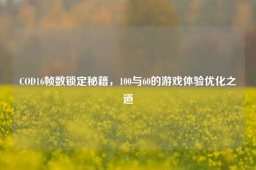 COD16帧数锁定秘籍,100与60的游戏体验优化之道