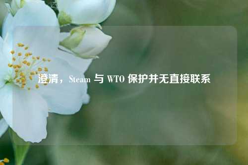 澄清,Steam 与 WTO 保护并无直接联系