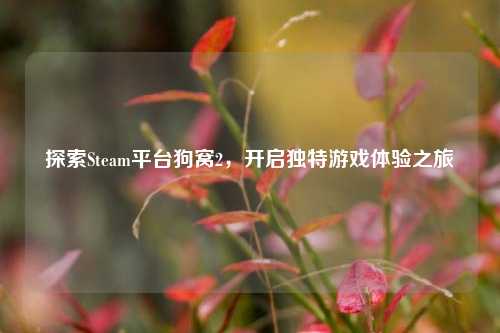探索Steam平台狗窝2,开启独特游戏体验之旅