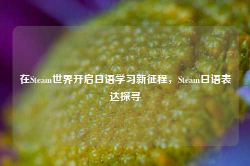 在Steam世界开启日语学习新征程，Steam日语表达探寻