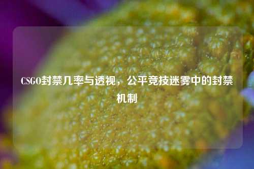 CSGO封禁几率与透视,公平竞技迷雾中的封禁机制