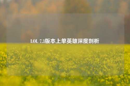 LOL 7.3版本上单英雄深度剖析