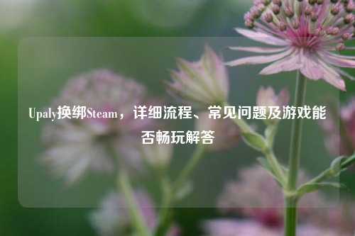 Upaly换绑Steam,详细流程、常见问题及游戏能否畅玩解答