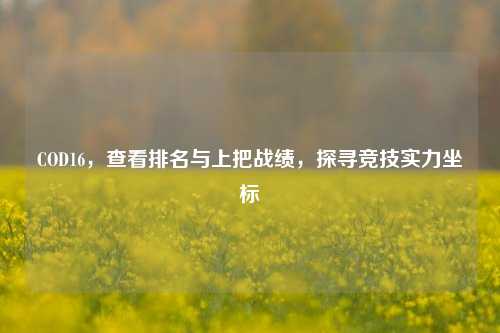 COD16,查看排名与上把战绩,探寻竞技实力坐标