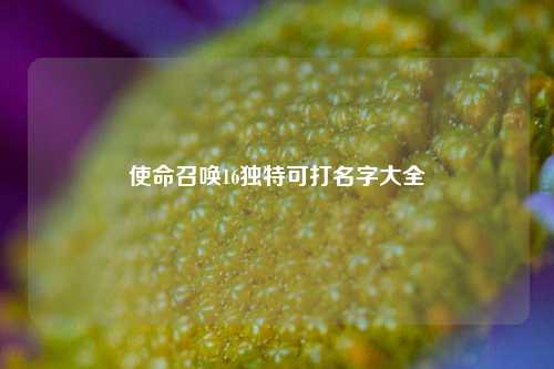 使命召唤16独特可打名字大全