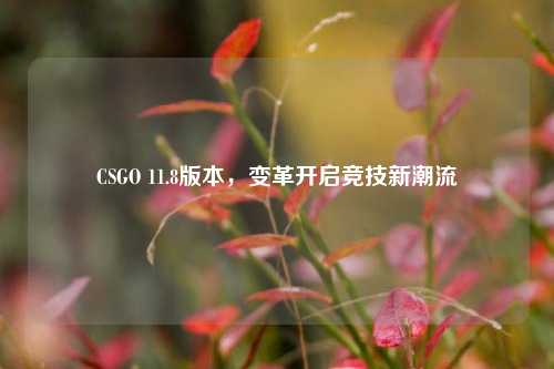 CSGO 11.8版本，变革开启竞技新潮流