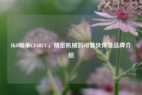 IKO轴承CF6BUU,精密机械的可靠伙伴及品牌介绍