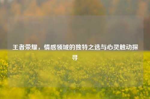 王者荣耀，情感领域的独特之选与心灵触动探寻