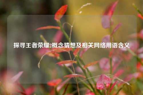 探寻王者荣耀2概念猜想及相关网络用语含义