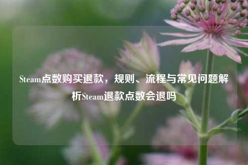 Steam点数购买退款,规则、流程与常见问题解析Steam退款点数会退吗
