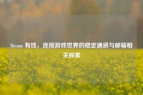 Steam 有线,连接游戏世界的稳定通道与邮箱相关探索
