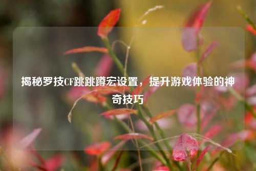 揭秘罗技CF跳跳蹲宏设置，提升游戏体验的神奇技巧