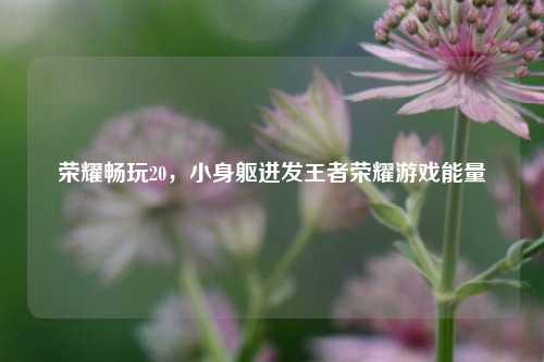荣耀畅玩20,小身躯迸发王者荣耀游戏能量