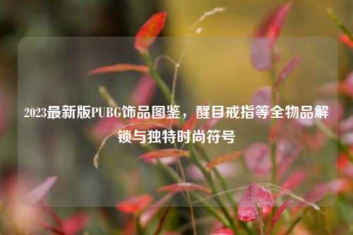 2023最新版PUBG饰品图鉴,醒目戒指等全物品解锁与独特时尚符号