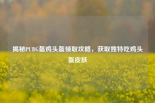 揭秘PUBG盔鸡头盔领取攻略,获取独特吃鸡头盔皮肤