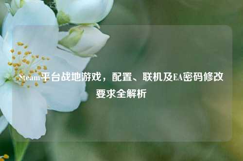 Steam平台战地游戏,配置、联机及EA密码修改要求全解析
