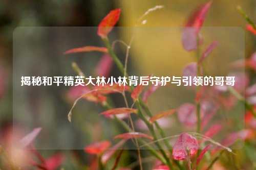 揭秘和平精英大林小林背后守护与引领的哥哥