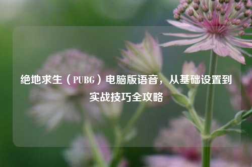 绝地求生(PUBG)电脑版语音,从基础设置到实战技巧全攻略