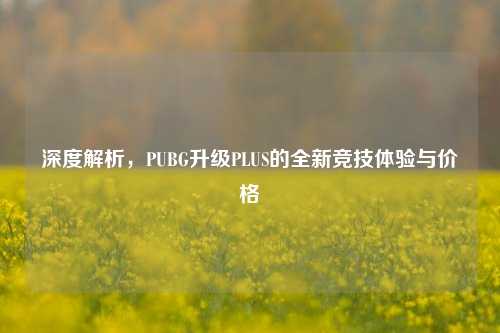 深度解析,PUBG升级PLUS的全新竞技体验与价格