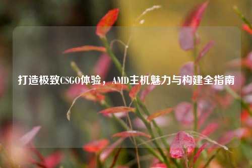 打造极致CSGO体验,AMD主机魅力与构建全指南