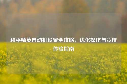 和平精英自动机设置全攻略,优化操作与竞技体验指南
