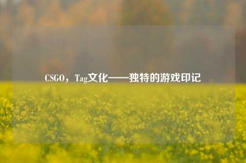 CSGO，Tag文化——独特的游戏印记