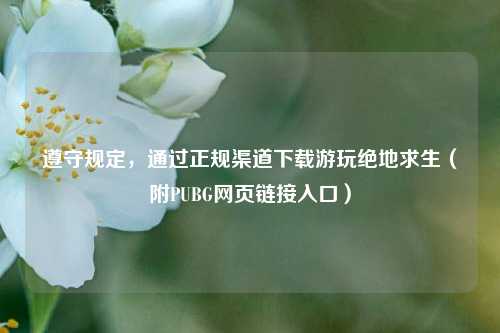 遵守规定,通过正规渠道下载游玩绝地求生(附PUBG网页链接入口)
