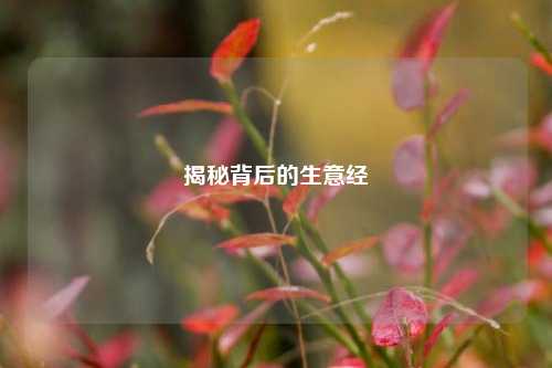 揭秘背后的生意经