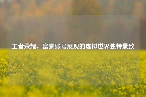 王者荣耀,富豪账号展现的虚拟世界独特景致